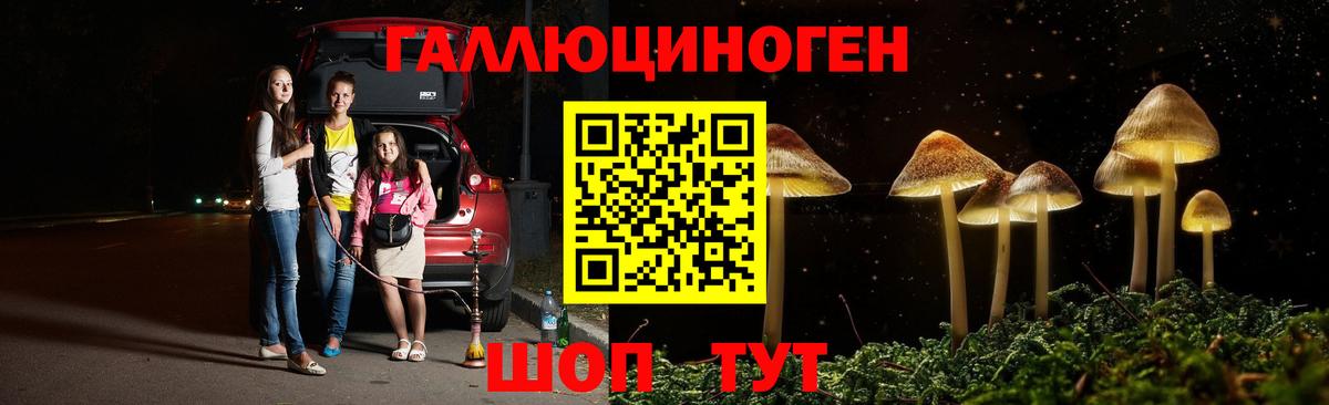сколько стоит  Вход с VPN  Торжок  Галлюциногенные грибы Magic Shrooms  Галлюциногенные грибы прущие грибы 